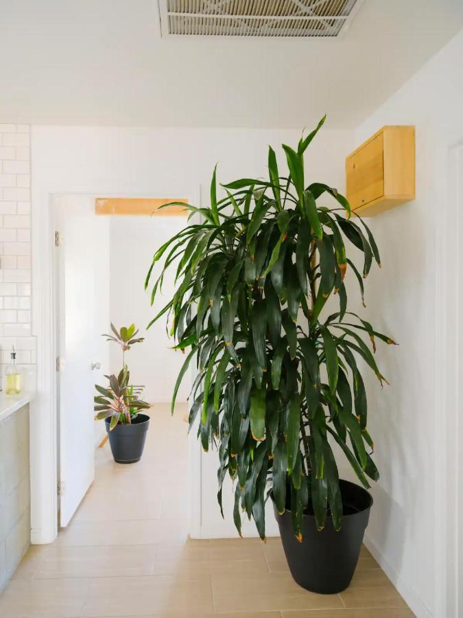 The Zen - Outdoor Shower, Gas Fireplace, Walkable To Shops & Restaurants Joshua Tree Kültér fotó